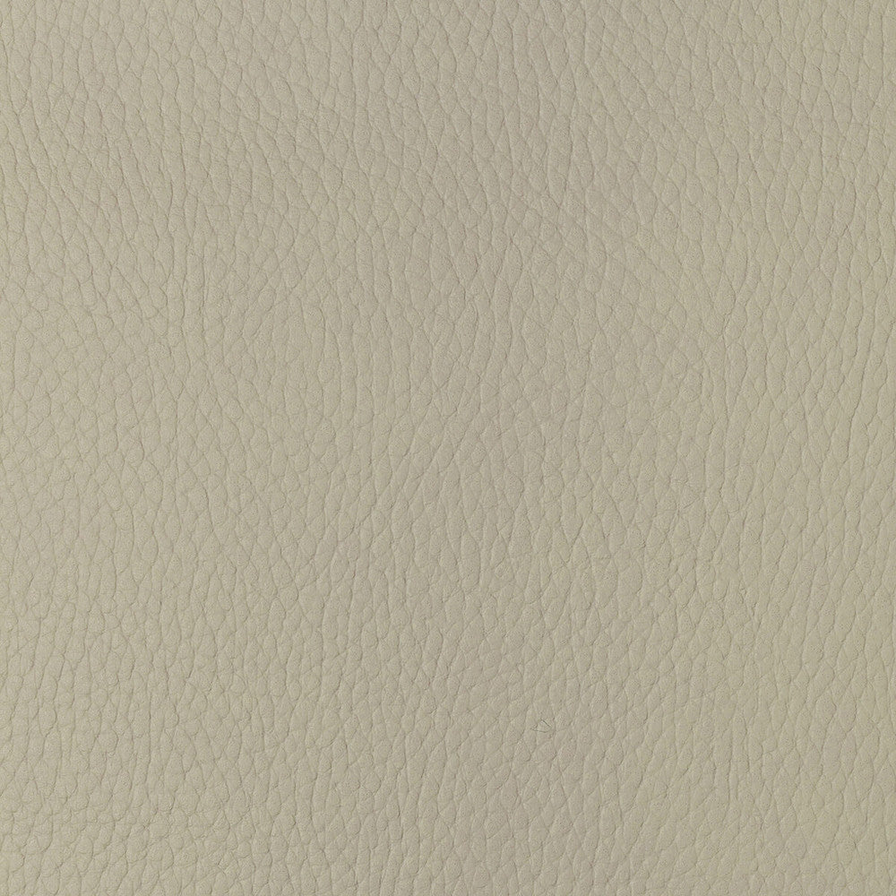 Kravet Design Sugarmaple-1 by Kravet Design Fabric Kravet Design Fabric Kravet Design Sugarmaple-1Fabric POLYCARBONATE - 100% Japan </p><p>Repeat: H: 0, V: 0 54 - Fabric Carolina -