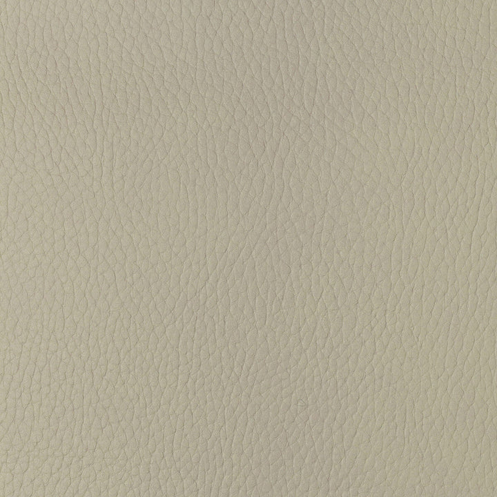 Sugarmaple-1 by Kravet Design Designer Fabric POLYCARBONATE - 100% Japan HEAVY Horizontal: 0 and Vertical: 0 54 - Swanky Fabrics -