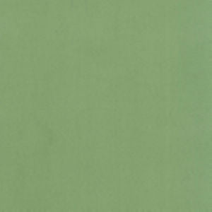 Supra Pear 72 by Norbar Designer Fabric SUPRA SUEDE 75% POLYESTER 25% COTTON SPAIN 54" - Swanky Fabrics -