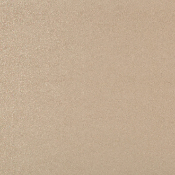 Swaps-16 by Kravet Design Designer Fabric - POLY VINYL CHLORIDE - 79%;POLYESTER - 21% China HEAVY Horizontal: - and Vertical: - 54 - Swanky Fabrics -