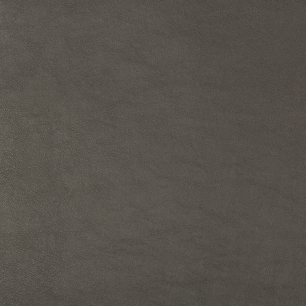 Swaps-21 by Kravet Design Designer Fabric POLY VINYL CHLORIDE - 79%;POLYESTER - 21% China HEAVY Horizontal: and Vertical: 54 - Swanky Fabrics -