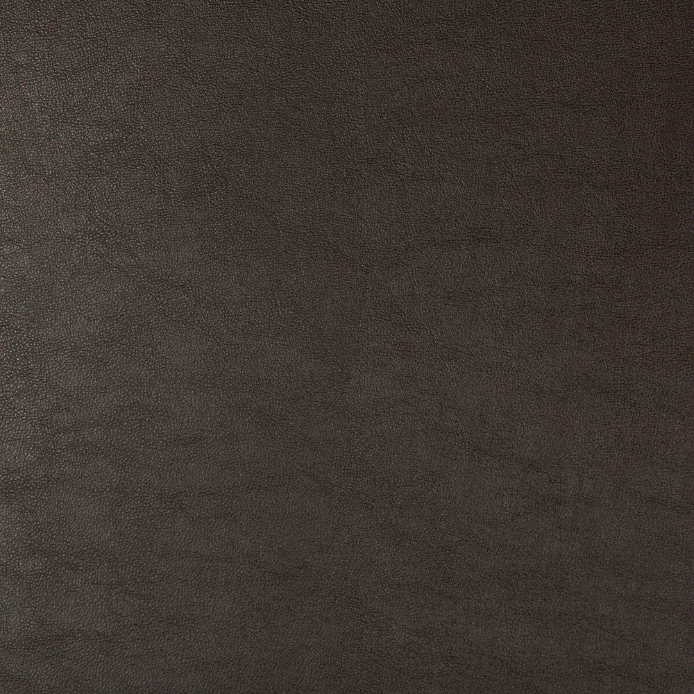 Swaps-66 by Kravet Design Designer Fabric POLY VINYL CHLORIDE - 79%;POLYESTER - 21% China HEAVY Horizontal: and Vertical: 54 - Swanky Fabrics -
