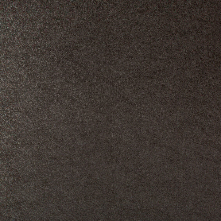Swaps-66 by Kravet Design Designer Fabric POLY VINYL CHLORIDE - 79%;POLYESTER - 21% China HEAVY Horizontal: and Vertical: 54 - Swanky Fabrics -