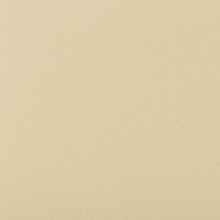 Syrus Sandbar by Kravet Contract Designer Fabric SILICONE - 100% China HEAVY Horizontal: 0 and Vertical: 0 55 - Swanky Fabrics -