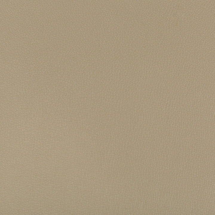 Syrus Elm by Kravet Contract Fabric Kravet Contract Fabric Syrus ElmFabric SILICONE - 100% China </p><p>Repeat: H: 0, V: 0 55 - Fabric Carolina -