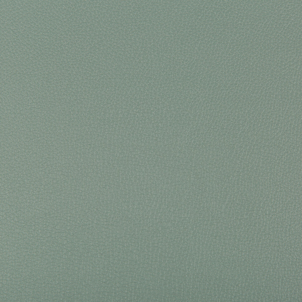 Syrus Herbal by Kravet Contract Designer Fabric - SILICONE - 100% China HEAVY Horizontal: 0 and Vertical: 0 55 - Swanky Fabrics -