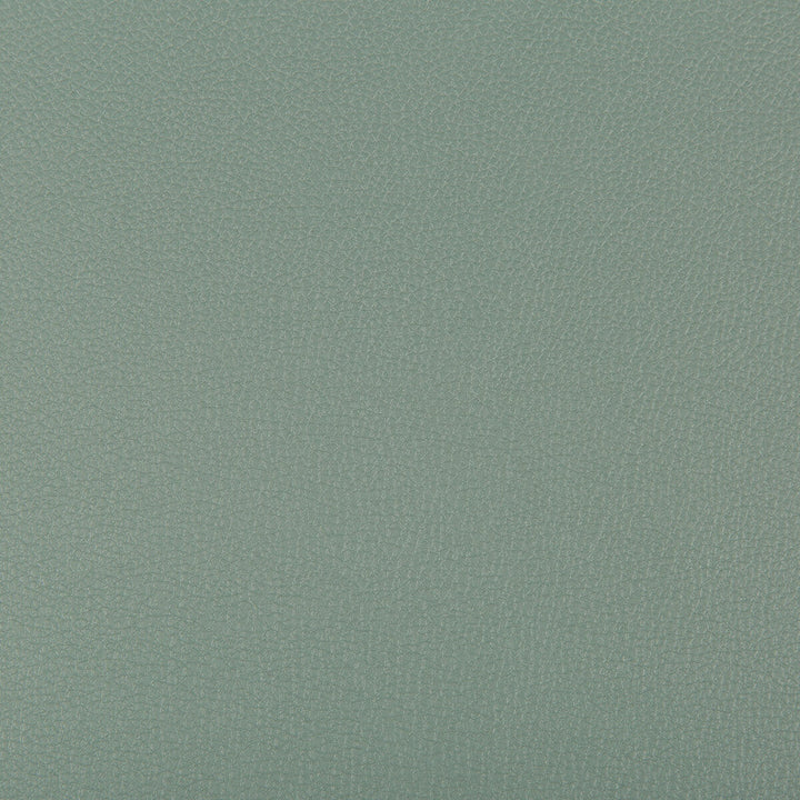 Syrus Herbal by Kravet Contract Designer Fabric SILICONE - 100% China HEAVY Horizontal: 0 and Vertical: 0 55 - Swanky Fabrics -