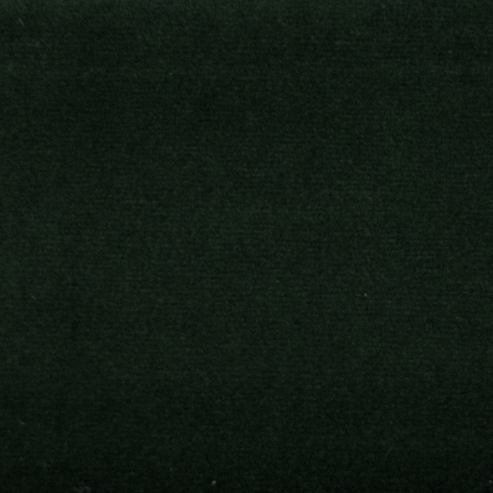 Sahara Jungle by Europatex Designer Fabric Sahara 100% Polyester China 50,000 Double Rubs Horizontal: N/A and Vertical: N/A 56" - Swanky Fabrics -