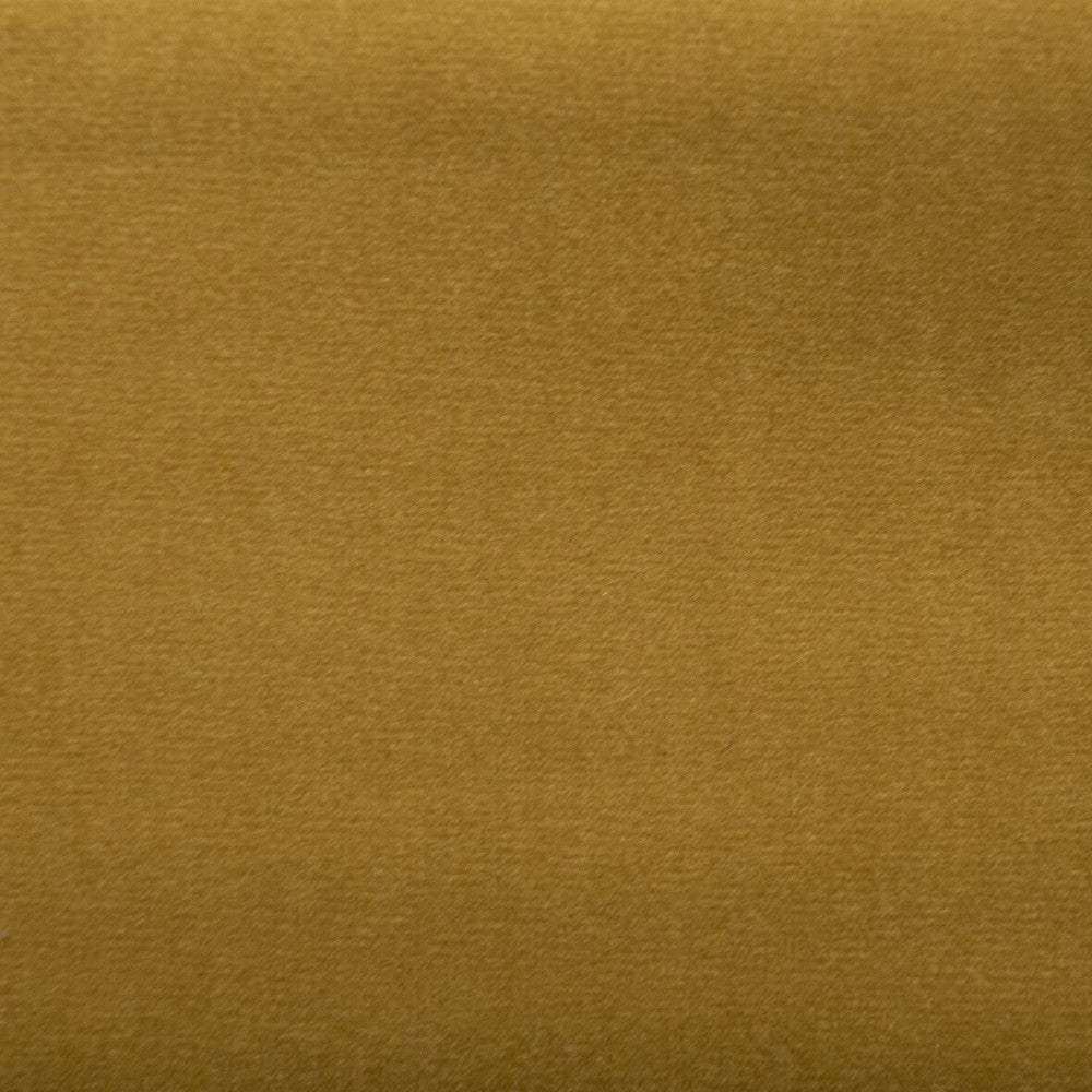 Sahara Lion by Europatex Designer Fabric Sahara 100% Polyester 0.00" 57.00 inches - Swanky Fabrics -