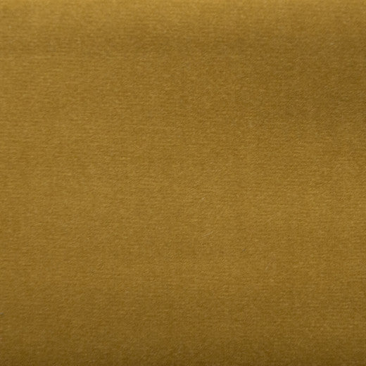 Sahara - Lion by Europatex Designer Fabric Sahara 100% Polyester China See Sample Horizontal: N/A and Vertical: N/A 57.00 inches  - Swanky Fabrics -