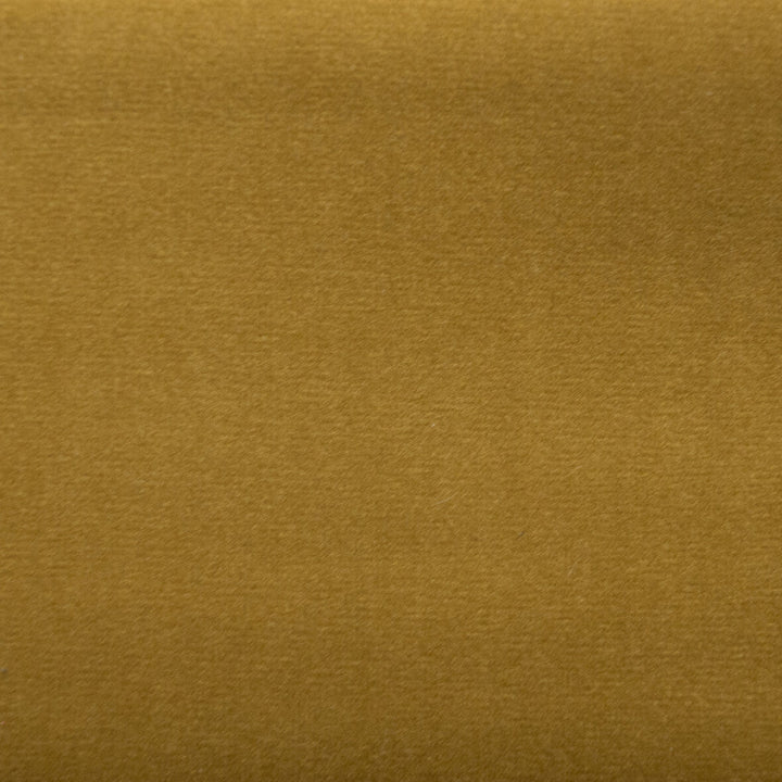 Sahara Lion by Europatex Designer Fabric Sahara 100% Polyester China 50,000 Double Rubs Horizontal: N/A and Vertical: N/A 56" - Swanky Fabrics -