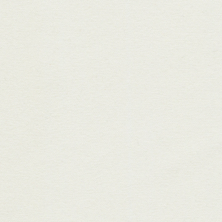 Samson Coconut by Europatex Designer Fabric Samson 100% Polyester 0.00" 55.00 inches - Swanky Fabrics -