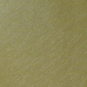 Nassimi Fabric Savanna Green Tea