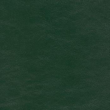 Savoy Evergreen SAV-9761 by Spradling Designer Fabric See sample 100% Vinyl USA or Imported Water-based cleaning agents and foam may be used for cleaning. Cleaning by a professional cleaning service is recommended. </p><p>Repeat: Horizontal: and Vertical: 54" - Swanky Fabrics -