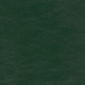Spradling Fabric Savoy Evergreen