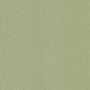 Spradling Fabric Sequel Bristle