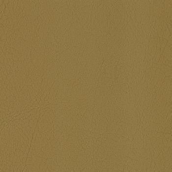 Sequel Chaps by Spradling Designer Fabric See sample 100% Vinyl  100000 Horizontal: Not Applicable and Vertical: Not Applicable 54"  - Swanky Fabrics -