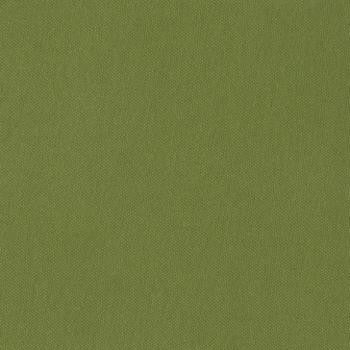 Silvertex Basil STX-8820 by Spradling Designer Fabric See sample 100% Vinyl USA or Imported Water-based cleaning agents and foam may be used for cleaning. Cleaning by a professional cleaning service is recommended. </p><p>Repeat: Horizontal: and Vertical: 54" - Swanky Fabrics -