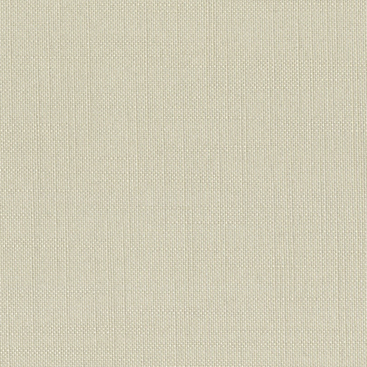 Sombre Sooty Parchment by Europatex Designer Fabric Sombre 100% Polyester 0.00 55.00 inches - Swanky Fabrics -