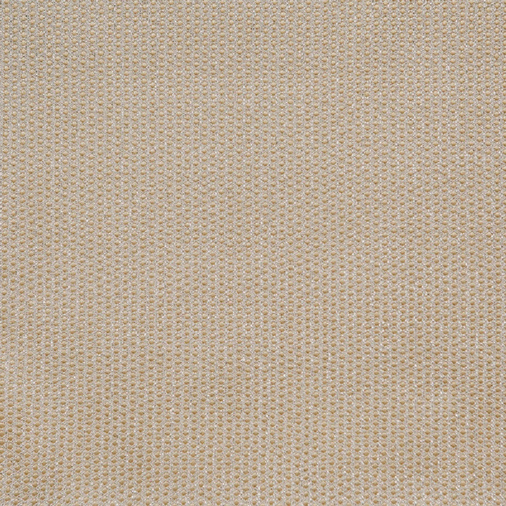 Spectacular B Cream by Europatex Designer Fabric Spectacular 100% Polyester 0.40" H, 0.20" V 110.00 inches - Swanky Fabrics -