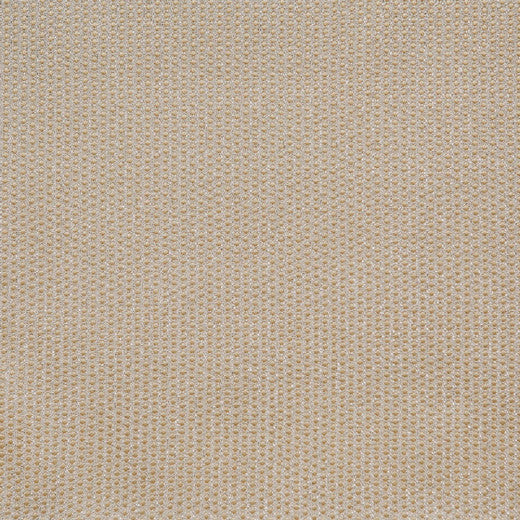 Spectacular - B - Cream by Europatex Designer Fabric Spectacular 100% Polyester China See Sample Horizontal: N/A and Vertical: N/A 110.00 inches  - Swanky Fabrics -
