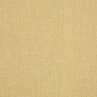 48082  Spectrum Almond by Sunbrella Designer Fabric our website for purchase 100% Sunbrella Acrylic USA (see sample) n/a 54"  - Swanky Fabrics -