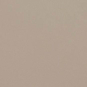 Naugahyde Fabric Spirit Millennium Bone