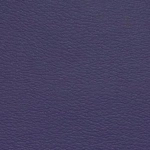 Naugahyde Fabric Spirit Millennium Crocus