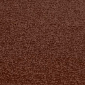 Naugahyde Fabric Spirit Millennium Gingersnap