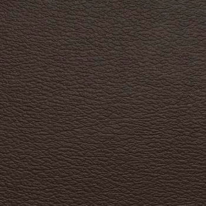 Naugahyde Fabric Spirit Millennium Mocha