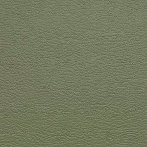 Naugahyde Fabric Spirit Millennium Sage