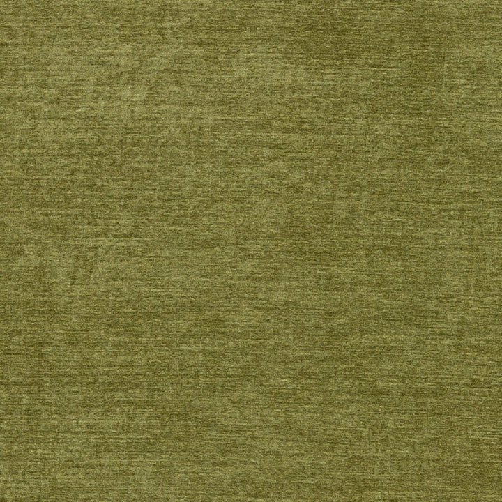 St. Tropez 42 Aloe by Europatex Designer Fabric St. Tropez 100% Polyester 0.00" 57.00 inches - Swanky Fabrics -