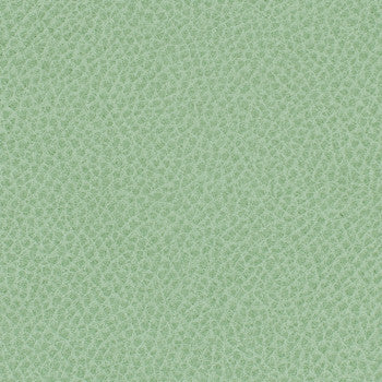 Steinbeck Aloe WST-002 by Nassimi Designer Fabric See sample 95% Polyurethane (Polycarbonate),5% Silicone USA or Imported Water-based cleaning agents and foam may be used for cleaning. Cleaning by a professional cleaning service is recommended.  54  - Swanky Fabrics -