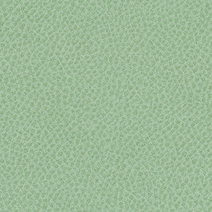 Nassimi Fabric Steinbeck Aloe