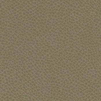 Steinbeck Barley WST-004 by Nassimi Designer Fabric See sample 95% Polyurethane (Polycarbonate),5% Silicone USA or Imported Water-based cleaning agents and foam may be used for cleaning. Cleaning by a professional cleaning service is recommended.  54  - Swanky Fabrics -