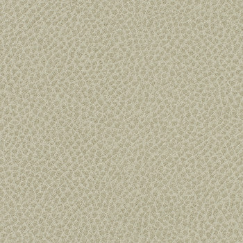 Steinbeck Crater by Nassimi Designer Fabric See sample 95% Polyurethane (Polycarbonate)5% Silicone  300000 Horizontal: Not Applicable and Vertical: Not Applicable 54"  - Swanky Fabrics -