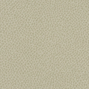 Nassimi Fabric Steinbeck Crater