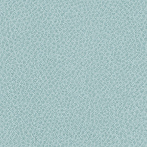 Nassimi Fabric Steinbeck Geyser