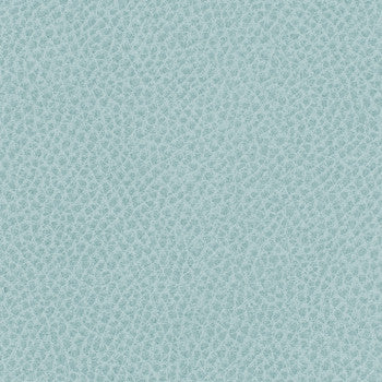 Steinbeck Geyser by Nassimi Designer Fabric See sample 95% Polyurethane (Polycarbonate)5% Silicone  300000 Horizontal: Not Applicable and Vertical: Not Applicable 54"  - Swanky Fabrics -