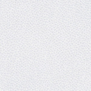 Nassimi Fabric Steinbeck Iceberg