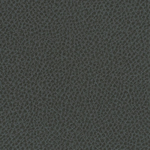 Nassimi Fabric Steinbeck Iron