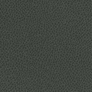 Steinbeck Iron by Nassimi Designer Fabric See sample 95% Polyurethane (Polycarbonate)5% Silicone  300000 Horizontal: Not Applicable and Vertical: Not Applicable 54"  - Swanky Fabrics -