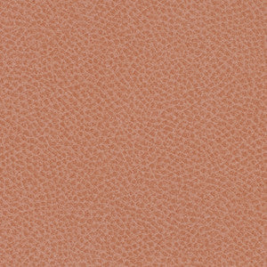 Nassimi Fabric Steinbeck Peony