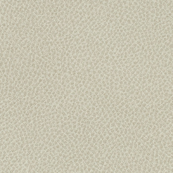 Steinbeck Sediment WST-021 by Nassimi Designer Fabric See sample 95% Polyurethane (Polycarbonate),5% Silicone USA or Imported Water-based cleaning agents and foam may be used for cleaning. Cleaning by a professional cleaning service is recommended.  54  - Swanky Fabrics -