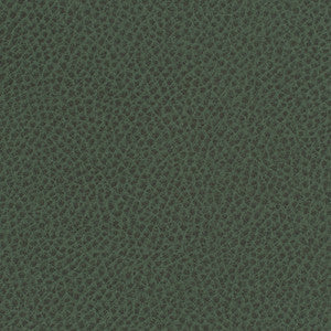 Nassimi Fabric Steinbeck Sherwood