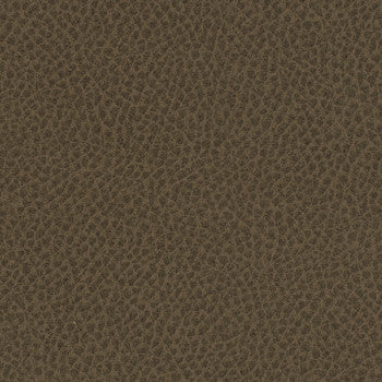Steinbeck Umber WST-025 by Nassimi Designer Fabric See sample 95% Polyurethane (Polycarbonate),5% Silicone USA or Imported Water-based cleaning agents and foam may be used for cleaning. Cleaning by a professional cleaning service is recommended.  54  - Swanky Fabrics -