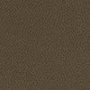 Nassimi Fabric Steinbeck Umber