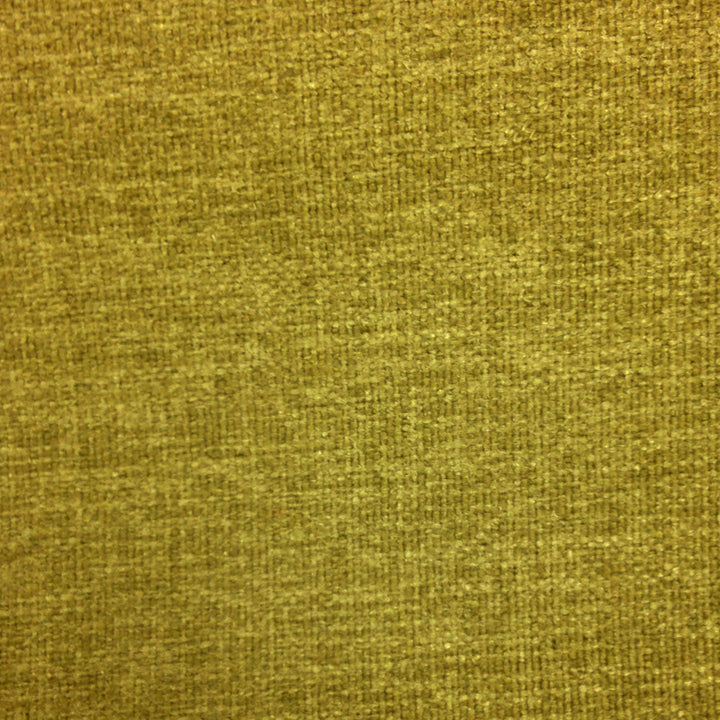 Studio Grass by Europatex Designer Fabric Studio 100% Polyester 0.00" 55.00 inches - Swanky Fabrics -