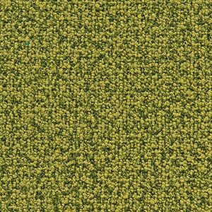 Crypton Fabric Study Dill