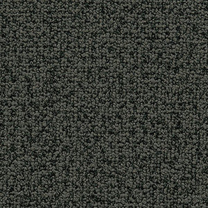 Crypton Fabric Study Graphite